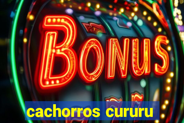 cachorros cururu